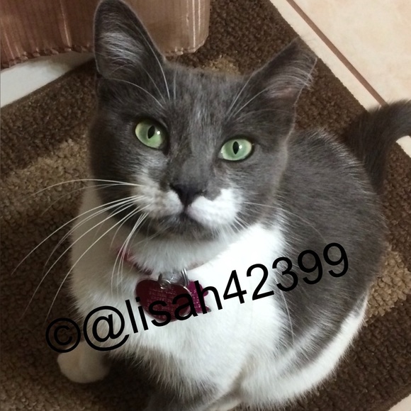 Meet your Posher, Lisa - Picture 2 of 11